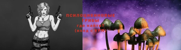 метадон Карпинск