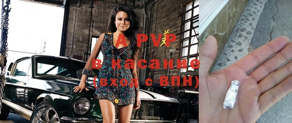 гашик Касимов