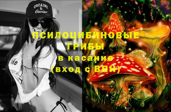 метадон Карпинск