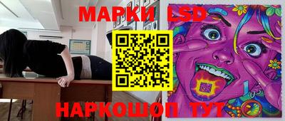 стаф Обнинск