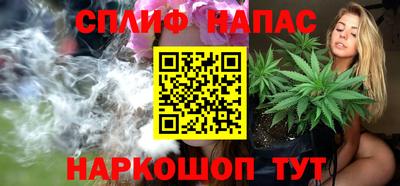 стаф Обнинск