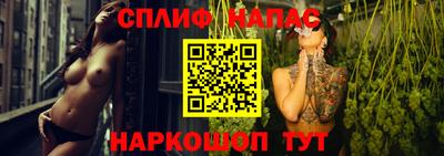 стаф Обнинск