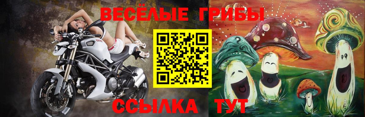 Галлюциногенные грибы GOLDEN TEACHER Тейково