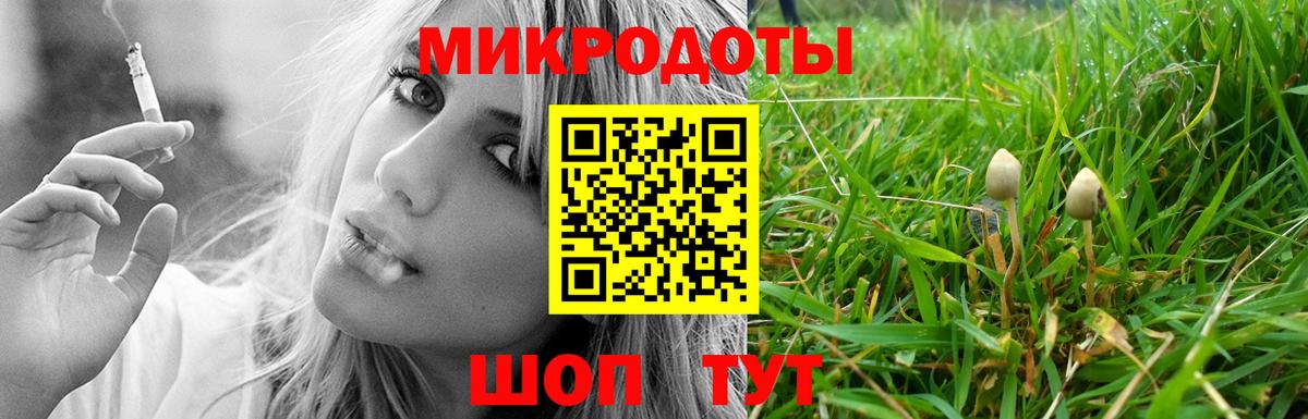 Псилоцибиновые грибы Psilocybe  Вход с VPN  Псилоцибиновые грибы Psilocybe  Тейково 
